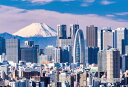 キューティーズ 300ピース ジグソーパズル 日本の都市44 東京都新宿区「富士山と新宿高層ビル群」 (26x38cm)