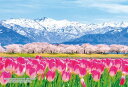 キューティーズ 300ピース ジグソーパズル 日本の都市30 富山県下新川郡「あさひ舟川 春の四重奏」 (26x38cm)