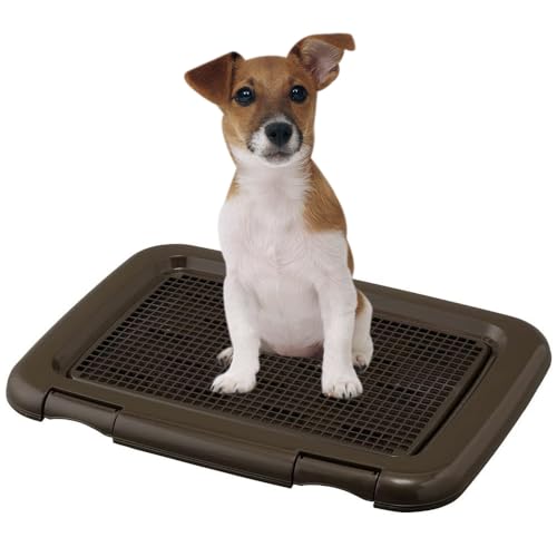 アイリスオーヤマ 犬 トイレ しつけ メッシュカバー付 フチもれしにくいトレーニングペットトレー レギュラー 銀イオン配合 抗菌 チャコールグレ