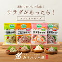 カネハツ サラダ があったら! 10個セット メーカー直送 ポテトサラダ ごぼうサラダ 黒ごま根菜サラダ マヨわかめサラダ 国産きのこサラダ れんこんサラダ 6品目ひじきサラダサン