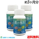 藻の極み 150粒 3本セット 44.3g 1粒 235mg 金秀バイオ 公式 希少な植物性DHA EPAとフコイダン カプセル オキナワモズク ラビリンチュア ナンノクロロプシス オーランチオキトリウム 沖縄 スーパーフード カネヒデ かねひで