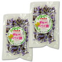 ブルーベリー糖 160g 2個セット 沖縄 日本産