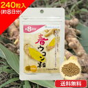 [メール便 送料無料] 春ウコン粒240粒 約8日分 100mg×240粒 春ウコン配合率 95％ 沖縄産 フラボノイド ターメロン カンファ シオネール ミネラル 沖縄県産「春ウコン」 主原料 サプリメント カネヒデ かねひで