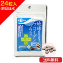 [メール便 送料無料] 琉球フコイダンプラス 24粒 6g 約8日分 金秀バイオ 栄養機能食品 オキナワモズク 琉球もろみ酢 粒タイプ 鉄分 ビタミンC クエン酸 アミノ酸 食物繊維 カネヒデ かねひで