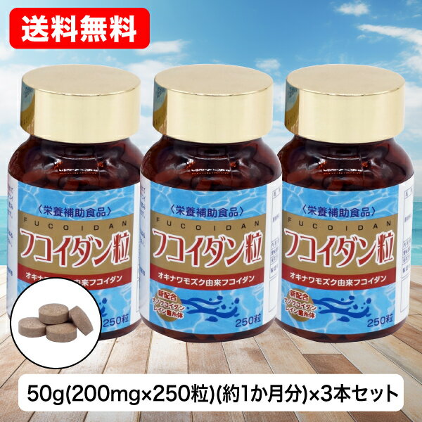 [DEAL40％ポイント還元3/22(金)9:59迄]【D】フコイダン粒 250粒 50g(200mg×250粒) ×3個セット 金秀バイオ 公式 フコイダン 沖縄産 レイシ菌糸体エキス末 NANOカプセル オキナワモズク アガリクス 栄養補助食品 カネヒデ かねひで