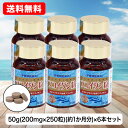 【D】フコイダン粒 250粒 50g(200mg×250粒) ×6個セット 金秀バイオ 公式 フコイダン 沖縄産 レイシ菌糸体エキス末 NANOカプセル オキナワモズク アガリクス 栄養補助食品 カネヒデ かねひで