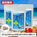 【D】[メール便 送料無料] 琉球フコイダンプラス 90粒 3袋セット 250mg 約1か月分 金秀バイオ 公式 栄養機能食品 オキナワモズク 琉球もろみ酢 粒タイプ 鉄分 ビタミンC クエン酸 アミノ酸 食物繊維 カネヒデ かねひで