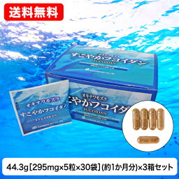 送料無料 すこやかフコイダン (5粒×30包) ×3箱セット 金秀バイオ オキナワモズク抽出物 沖縄 フコイダン フコイダン含有量1箱30袋約35,000mg 無添加(合成着色料 香料 保存料) ISO22000 トレーサビリティー クエン酸 かねひで