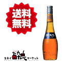 【送料無料（一部地域を除く）】ボルス アプリコット 700ml