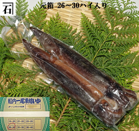 能登小木港産・船凍イカ（元箱26〜30ハイ入 1パイあたり260g～310g）（冷凍イカ）