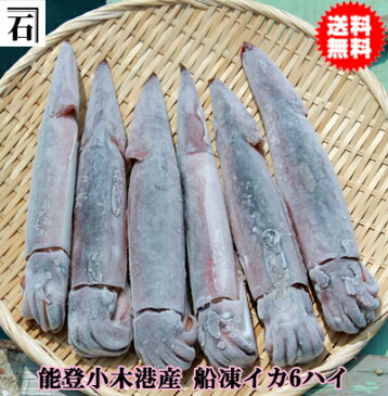 【送料無料】能登小木港産・船凍イカ（6ハイ入り　1.3kg前後）1ハイ200g前後【送料込み※北海道、沖縄、離島、一部地域を除く】【するめいか】【通販、販売】【楽らくギフト】【お歳暮】【御中元】【贈り物】