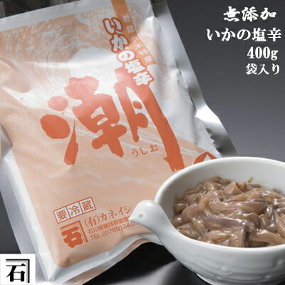 イカの塩辛400g（能登小木港産いかの塩辛）【イカ】【いか】【楽らくギフト】