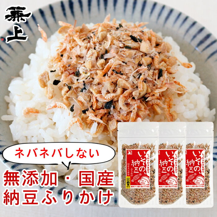 兼上 いその 納豆ふりかけ 33g×3個 無添加納豆ふりかけ