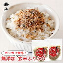 兼上 無添加 ガリガリノ 玄米ふりかけ 20g×2個 スプーン付き 無添加 添加物不使用 国産 ふりかけ 玄米 天然塩 自然塩 天日塩 減塩 ご飯のお供 食育 子育て 子供 栄養 グルテンフリー ポスト投函 ミネラル補給 送料無料 カネジョウ