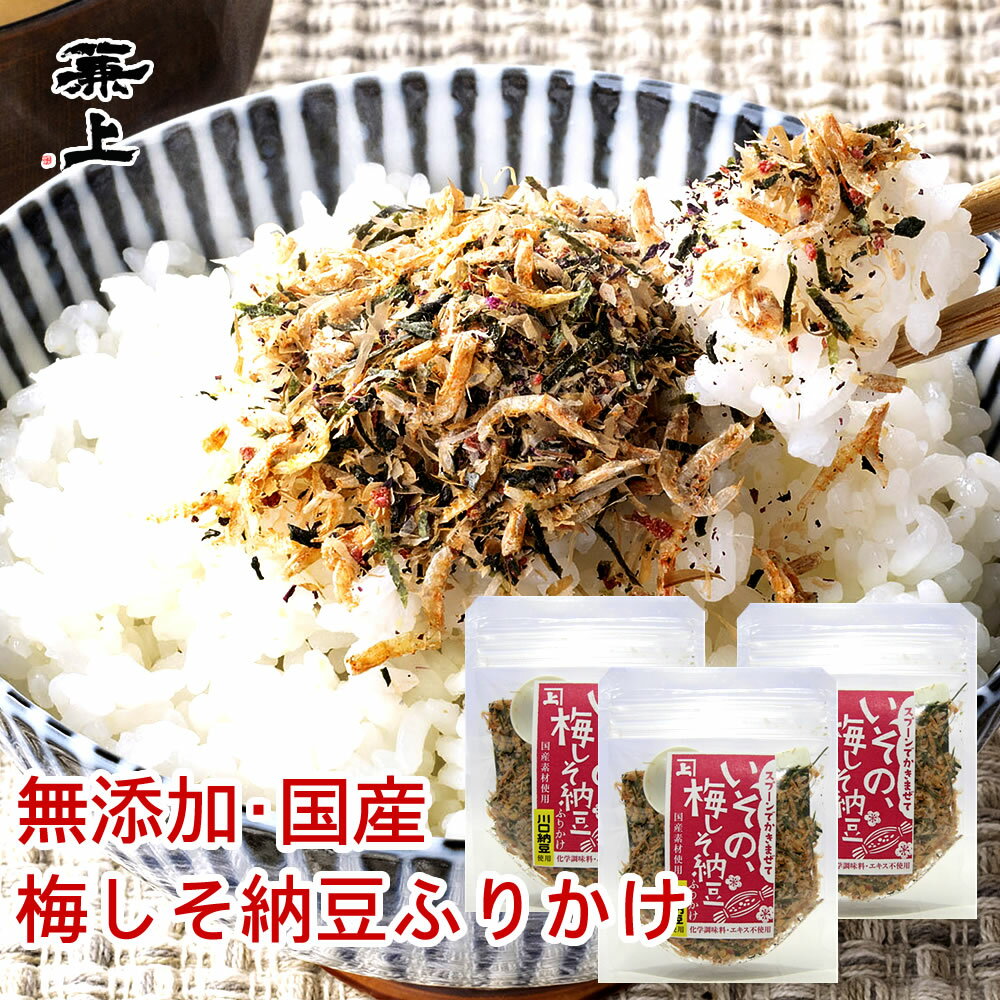 兼上 いその 梅しそ納豆ふりかけ 20g×3個 無添加ふりか