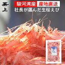 兼上 生桜えび お試し 100g×1袋 由比港水揚げ 駿河湾桜...