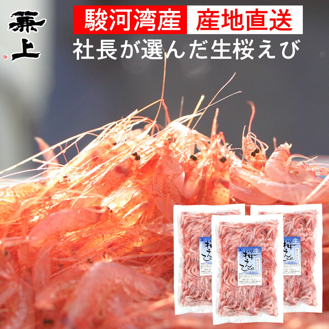 兼上 生桜えび 100g×3袋 由比港水揚げ 駿河湾桜えび 桜えび 桜エビ 桜海老 桜蝦 生桜えび 生桜海老 生桜エビ 生さくらえび 冷凍桜えび かき揚げにオススメ 静岡 駿河湾 由比 国産 お刺身 生 生食 冷凍 冷凍生 送料無料 カネジョウ