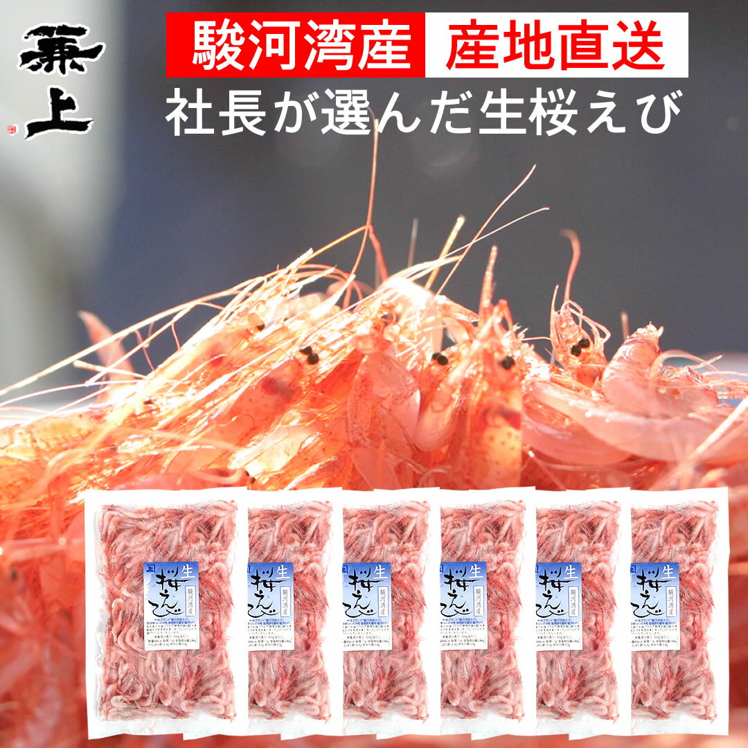 【期間限定10％OFF】兼上 生桜えび 100g×6袋 由比