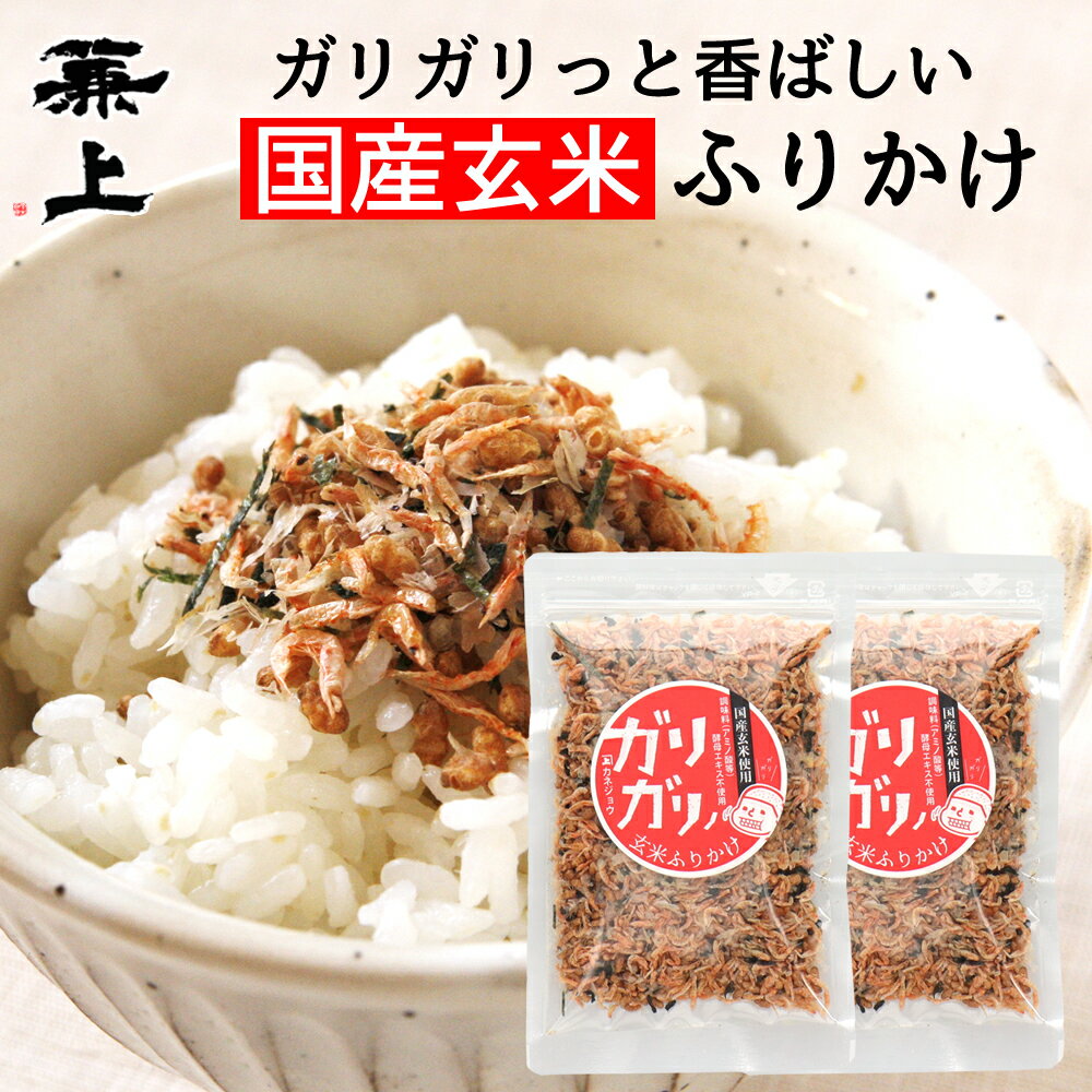 兼上 無添加 玄米ふりかけ ガリガリノ 30g×2袋 ふりかけ 無添加 添加物不使用 国産 玄米 天然塩 自然塩 減塩 ご飯のお供 食育 子育て 子供 栄養 グルテンフリー ポスト投函 送料無料 カネジョウ
