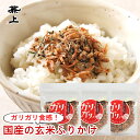 兼上 無添加 ガリガリノ 玄米ふりかけ 20g×3個 スプーン付き 無添加 添加物不使用 国産 ふりかけ 玄米 天然塩 自然塩 天日塩 減塩 ご飯のお供 食育 子育て 子供 栄養 グルテンフリー ポスト投函 ミネラル補給 送料無料 カネジョウ
