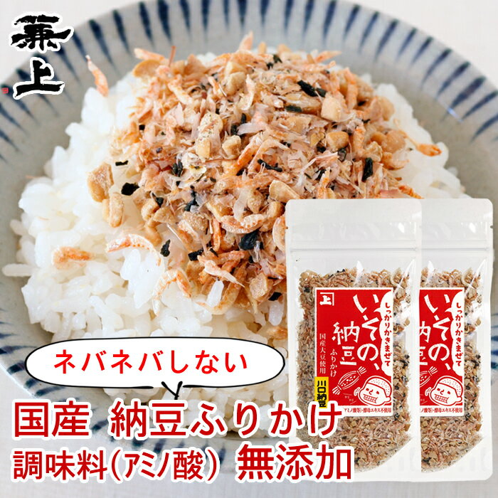 兼上 無添加 いその 納豆ふりかけ 33