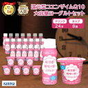 睡眠の質 わたしのチカラ Q10ヨーグルト ドリンク 100g 24本 ＋ カップ 90g 8個 大容量 福袋 セット 詰め合わせ カネカ食品 乳酸菌飲料 飲むヨーグルト ヨーグルト プレーン 乳酸菌 還元型 コエンザイムQ10 脂肪ゼロ ヨーグルト飲料 販売 機能性表示食品 CM