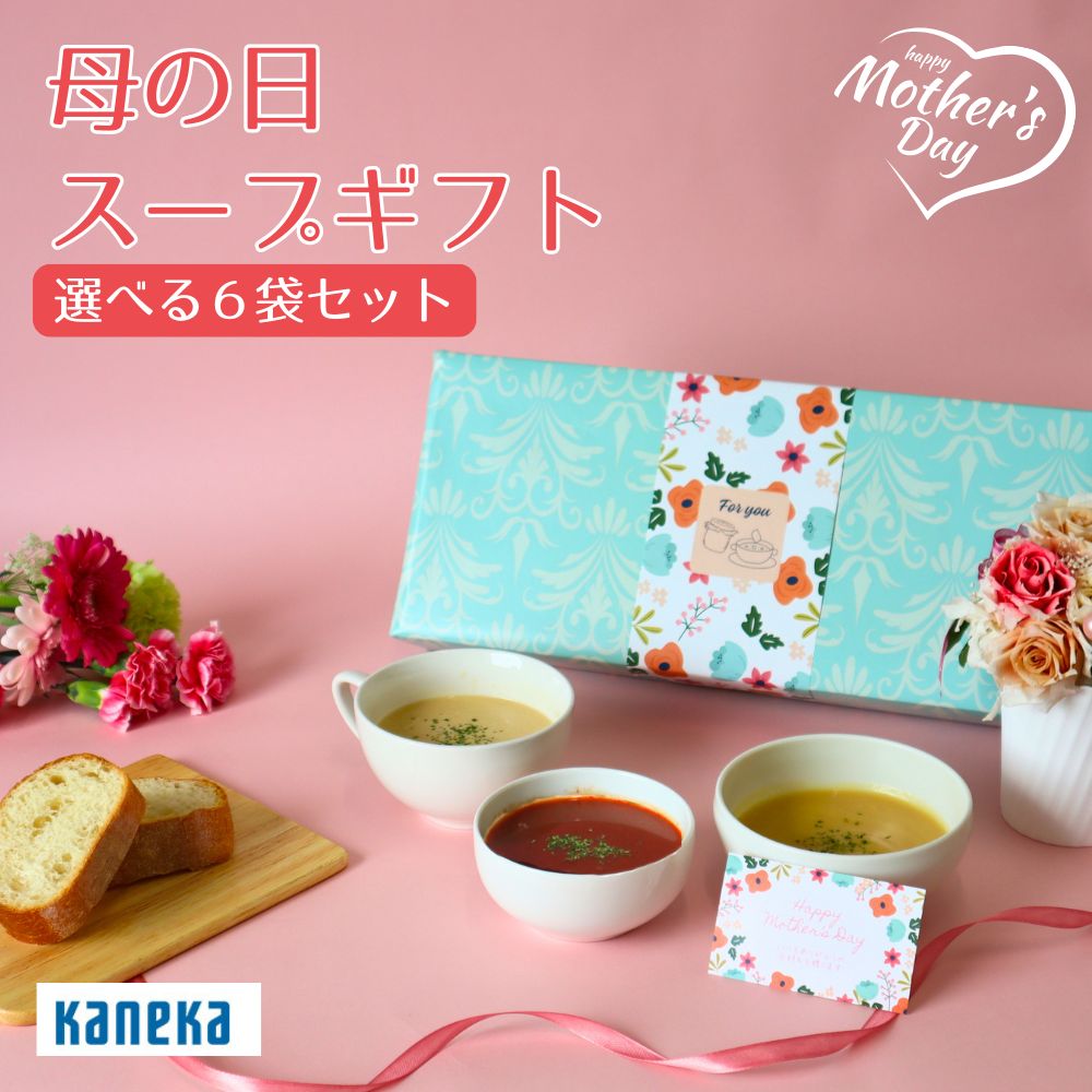 【母の日】スープ ギフト セット パンにプラスープ 6袋 化粧箱入り カネカ食品 パンのお供 ミネストローネ クラムチャウダー コーンスープ 野菜スープ レトルト 常温 レンジ 食べ比べ 詰め合わせ 贈り物 プレゼント 仕送り 送料無料 ギフトボックス