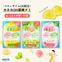 カネカQ10果実グミ コエンザイムQ10 入り アソート 30袋 セット カネカ食品 グミ 詰め合わせ 機能性表示食品 肌のうるおい ストレス OL 学生 女性 10代 20代 30代 グミ レモンソーダ ジューシーピーチ シャインマスカット まとめ買い ストック 大容量 福袋 送料無料