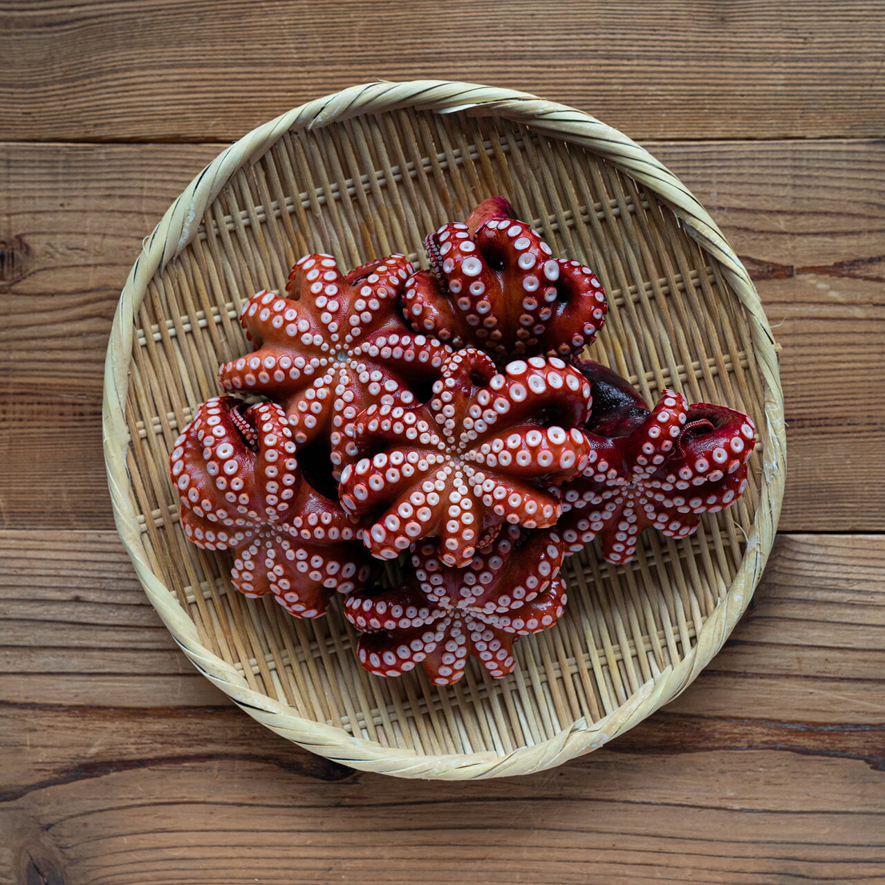 金楠の明石だこ（小だこ）5-6杯・1Kg たこ タコ 蛸 マダコ たこ足 タコ足 蛸足 明石たこ 明石タコ 明石蛸 ギフト 贈り物 父の日 母の日 贈答用 健康 グルメ 美容のサムネイル