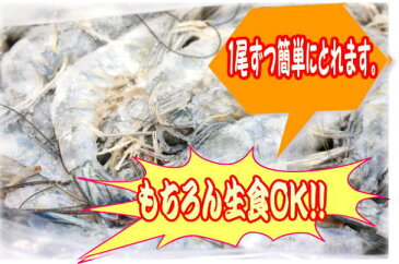 天使の海老1kg(生食用)(30尾〜4002P01Oct16尾)/エビニューカレドニア産】/訳あり/【RCP】02P01Oct16