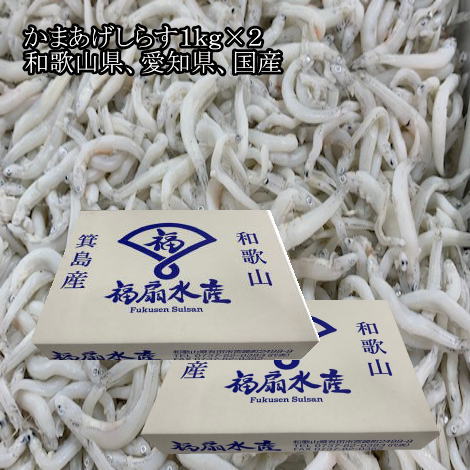 ޤ餹1kg2Ĥ2kg²λθ绺