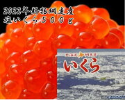 【北海道産】塩いくら５００g/訳あり/メガ盛り02P01Mar11