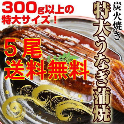 全国お取り寄せグルメ食品ランキング[ウナギ(121～150位)]第135位