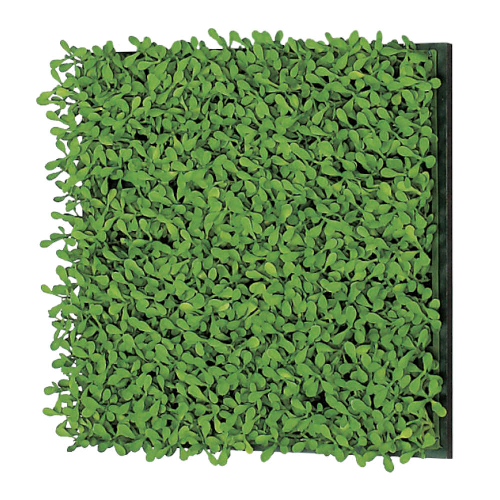 連接グリーン ベルク グリーンモード BELK GR1166 25角 9mmMDFシート貼り パネル(168) 造花 1セット[メ..