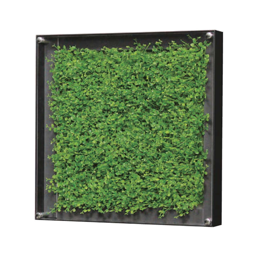 ウォールグリーン ベルク グリーンモード BELK GR3303 アルミ押出材ブラックアルマイト仕上 2mm透明ア..