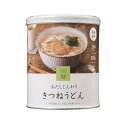 【ただいま 全品ポイント5倍】おだしじんわりきつねうどん 杉田エース IZAMESHI 636562 保存食 即席めん 製造より3年間 1袋