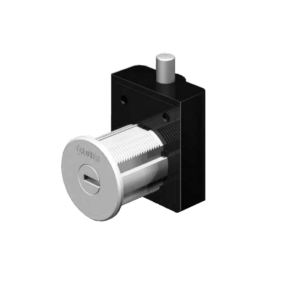 木製引出用シリンダーロック 白熊 クローバ CLOVER LO-4021 W122×76×4.0/W130×76×4.0/W222×76×4.0/W230×76×4.0/WF122×76×4.0/WF130×76×4.0/WF222×76×4.0/WF230×76×4.0 クローム/ゴールド