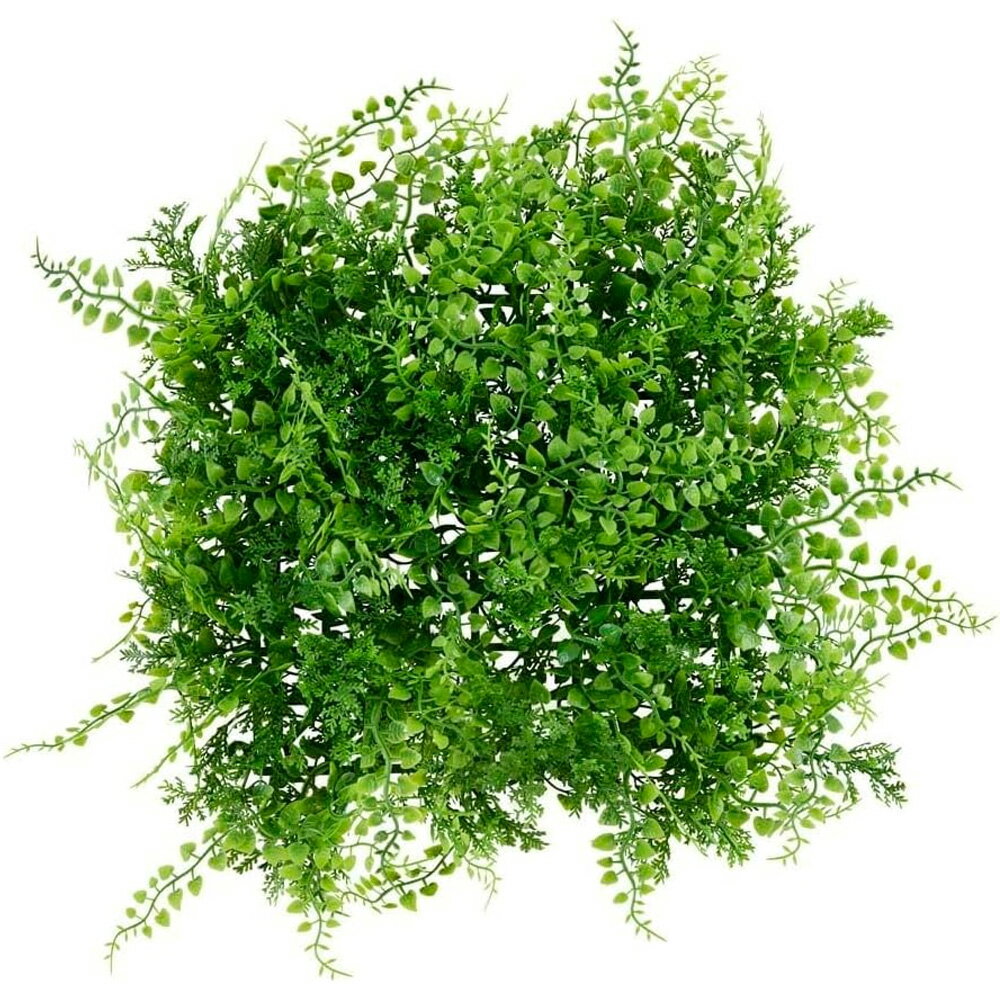 ʥݥ5ܥꥹ DECO GREEN ѥͥ WG-50AWG-50M