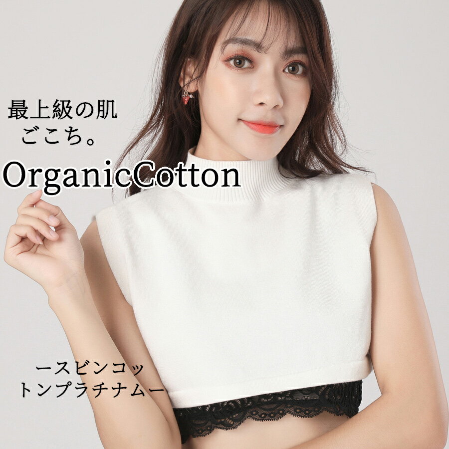 乐天商城 - つけ襟 ハイネック 付け襟 ニット インナー レディース レイヤード風 重ね着 タートルネック ニット フェイクカラー つけ衿 ニット襟 トップス 首元隠し ネックカバー 無地 シンプル ストレッチ 伸縮性 大人 女性用 春 秋 防寒 あったか