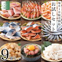 【数量限定】かねなかや お試し 福袋 9種セット 店長おまかせ 毎月199セット限定 海鮮 揚げ物 魚 切り身 骨取り 色々な商品を少しずつお試しできるセットがほしい!お客様の声を商品化 小分け セットでお届け【C配送:冷凍】