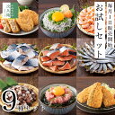 【数量限定】かねなかや お試し 福袋 9種セット 店長おまかせ 毎月199セット限定 海鮮 揚げ物 魚 切り身 骨取り 色々な商品を少しずつお試しできるセットが...