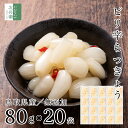 国産 無添加 ピリ辛 らっきょう 80g×20袋 鳥取 鳥取県 中粒 無選別 化学調味料無添加のこだわり製法 まとめ買い らっきょうらっきょう漬け 無化調 唐辛...