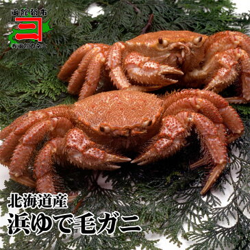 浜ゆで毛がに400g2尾入 【味噌 濃厚 北海道産 送料込み 送料無料 けがに 毛がに かに カニ蟹 毛がに 毛ガニ けがに ケガニ ギフト グルメ 食べ物 プレゼント 海産 魚介 海の幸 かに 通販 カニ 通販】