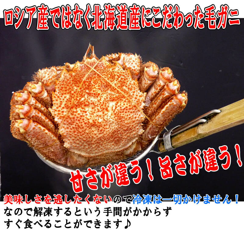 浜ゆで毛がに400g2尾入 【味噌 濃厚 北海道産 送料込み 送料無料 けがに 毛がに かに カニ蟹 毛がに 毛ガニ けがに ケガニ ギフト グルメ 食べ物 プレゼント 海産 魚介 海の幸 かに 通販 カニ 通販】