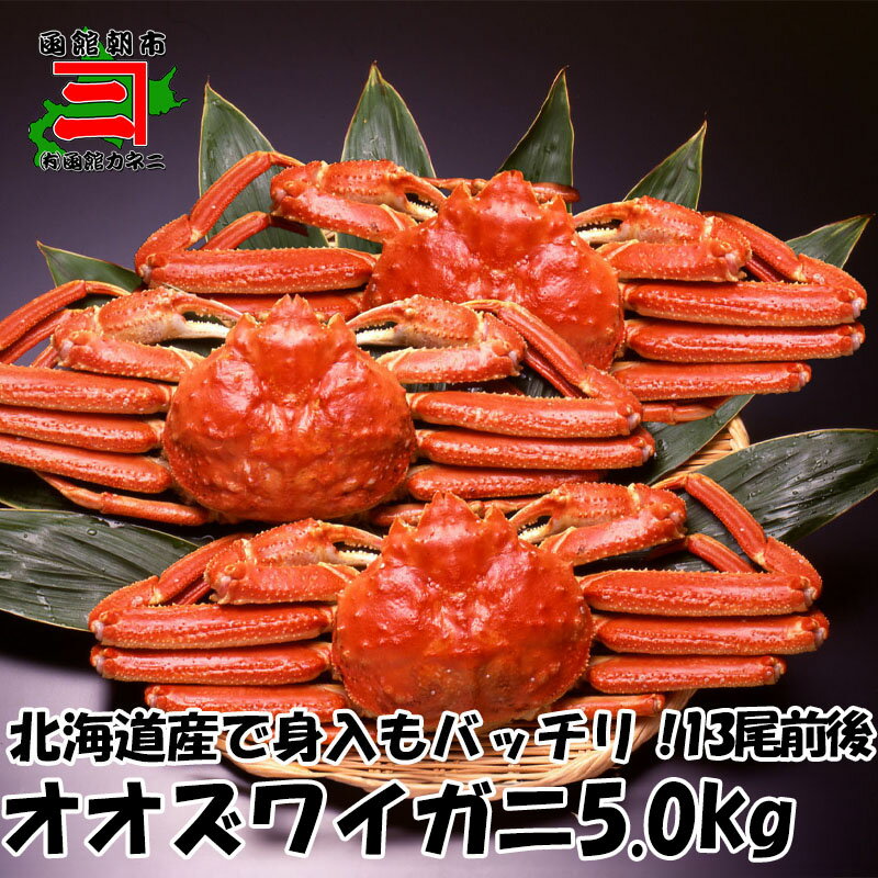 ボイル オオズワイガニ約5.0kg（13尾前後）　数量限定 活ゆで発送 冷蔵ずわいがに 送料無料 ギフト 母の日