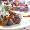 焼津のカツオ