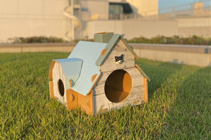 �ڥåȤηƤ��ξ� �ͥ������ ������� �ڥåȥϥ���