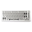 DrunkDeer A75 ラピッドトリガー メカニカルキーボード TKL ゲーム用 高速反応 磁気スイッチ RGB 有線 USB コンパクト 82キー ノブ付...