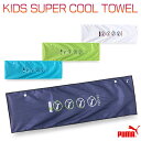 冷感タオル プーマ KIDS SUPER COOL TOWEL キッズ/子供 冷感タオル ネイビー/ホワイト/ブルー/グリーン W約70cm×H約20cm AC0128