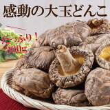 彣̤ɤ300g68cm  彣   ɤ    ˥ ӥߥD 㥫꡼ ʪ ̵   礱 ѿ 